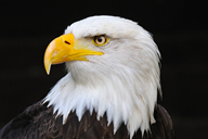 刘铭的个人博客